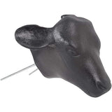Calf Head