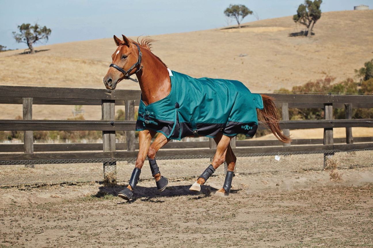 Saxon 1200D Standard Neck Turnout Sheet Lite (0g) Tack Room Too