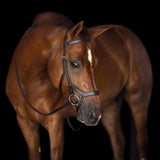 Bobby's Anatomical Snaffle Bridle