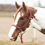 Weaver Silver Tip No. 95 Rope Halter