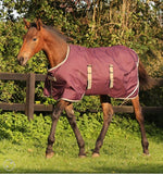 Horseware Ireland Amigo Foal Rug- Medium (200g)
