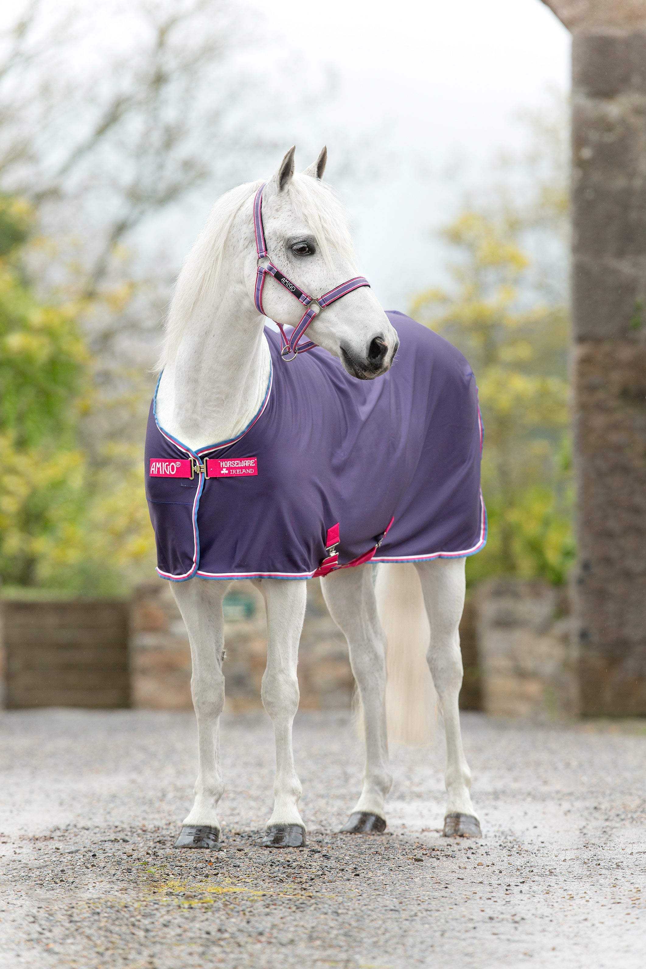 Horseware Ireland Amigo Pony Jersey Fleece Cooler