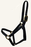 Big D Non-Adjustable Nylon Halter