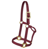 Big D Non-Adjustable Nylon Halter