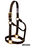 Big D Non-Adjustable Nylon Halter