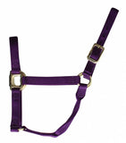 Big D Non-Adjustable Nylon Halter