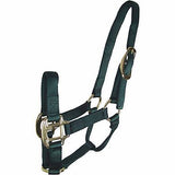 Big D Non-Adjustable Nylon Halter