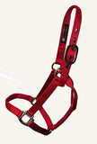 Big D Non-Adjustable Nylon Halter