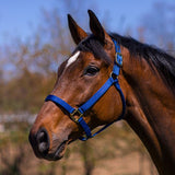 Big D Non-Adjustable Nylon Halter