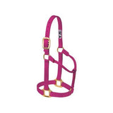 Big D Non-Adjustable Nylon Halter