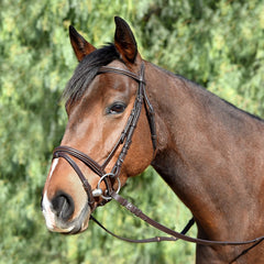 Bobby's English Tack noir lisse surélevé rembourré flash bandeau Bobby's English Tack noir lisse surélevé rembourré flash bandeau