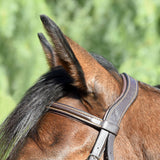 Bobby's Padded Monocrown Snaffle Bridle with Flash