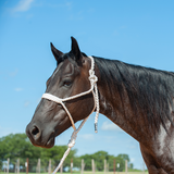 Cashel Flat Braid Mule Tape Halters