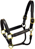 Tory Leather Black 1" Stitched Leather Halter