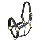 Tory Leather Pro Kentucky Track Halter