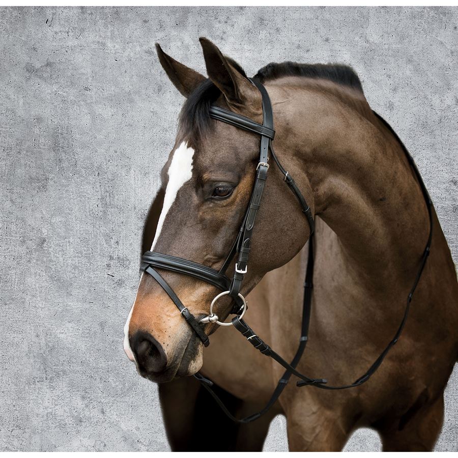 HK AMR Padded Dressage Bridle With Crank & Flash