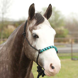 Two Tone Nose Rope Halter With 8' Lead