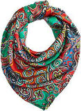 M & F Bright Multicolor Wild Rag