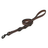 Weaver Vintage Paisley Dog Leash