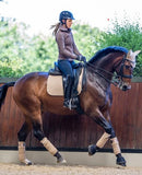 LeMieux ProSport Suede Dressage Square Saddle Pad