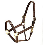 Tory Leather Pro Kentucky Track Halter