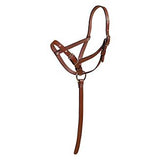 Tory Leather Foal Slip Halter with Grab Strap