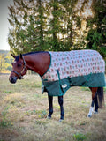 Weatherbeeta ComFiTec Essential Standard Neck Turnout- Medium (220g) - Tack Room Too Exclusive