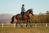 LeMieux ProSport Suede Dressage Square Saddle Pad