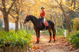 LeMieux ProSport Suede Dressage Square Saddle Pad