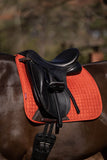 LeMieux ProSport Suede Dressage Square Saddle Pad