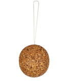 Uncle Jimmy's Hanging Ball