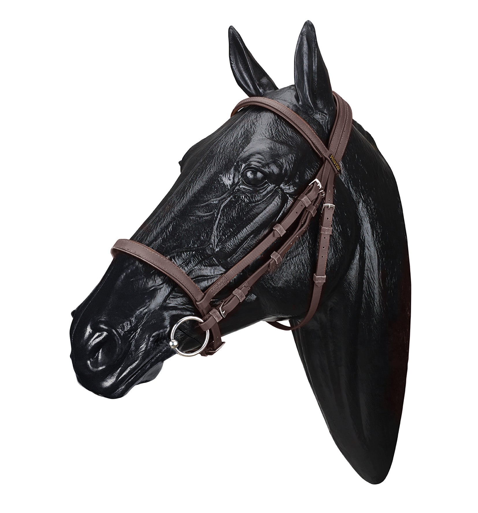 Wintec Synthetic Bridle