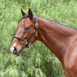Bobby's Fairhaven Fancy Stitch Leather Halter