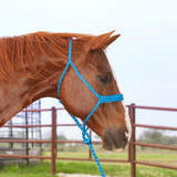 Cashel Flat Braid Mule Tape Halters