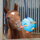 Shires Carrot Ball