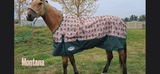 Weatherbeeta ComFiTec Essential Standard Neck Turnout- Medium (220g) - Tack Room Too Exclusive
