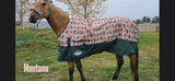 Weatherbeeta ComFiTec Essential Standard Neck Turnout- Medium (220g) - Tack Room Too Exclusive