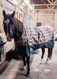 Weatherbeeta ComFiTec Essential Standard Neck Turnout- Medium (220g) - Tack Room Too Exclusive