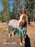 Weatherbeeta ComFiTec Essential Standard Neck Sheet - Lite (0g) - Tack Room Too Exclusive