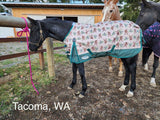 Weatherbeeta ComFiTec Essential Standard Neck Turnout- Medium (220g) - Tack Room Too Exclusive