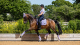 LeMieux Classic Polo Bandages