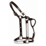 Show Halter Engraved Silver Dark Oil Mare