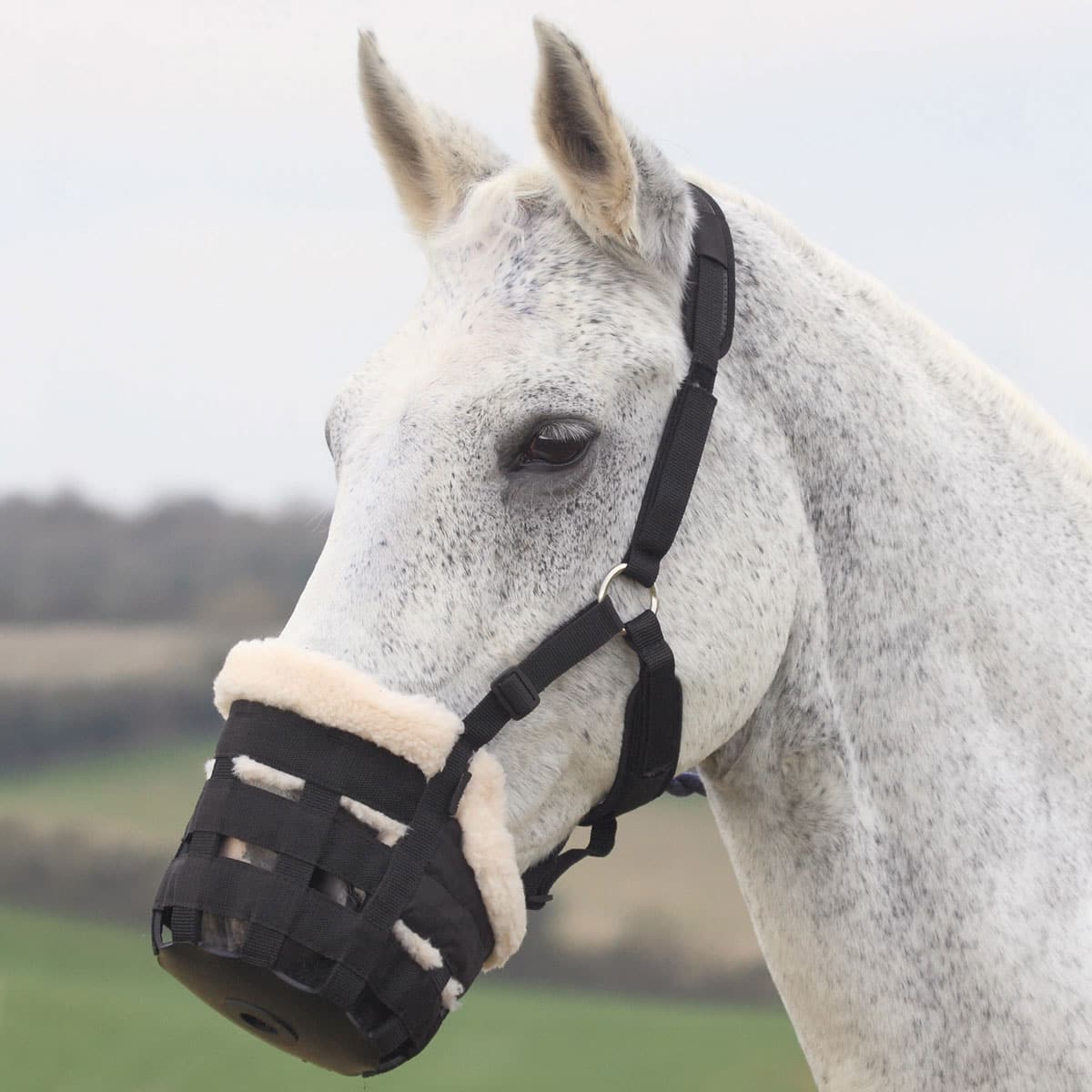 Shires Deluxe Grazing Muzzle With Fleece