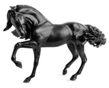 Special Breyer Sjoerd